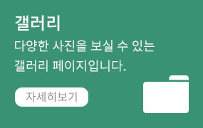 갤러리